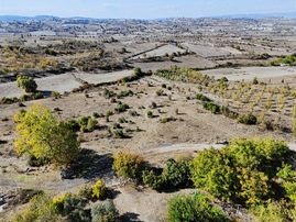 Pamukçu' Da Pınar Şırıltısında Manzaralı Tarla