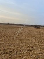 Mehmetoğlu Gayrimenkulden Pınarhisar Sütlücede 17.253 M2 Satılık