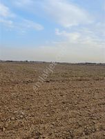 Mehmetoğlu Gayrimenkulden Pınarhisar Sütlücede 3897 M2 Satılık