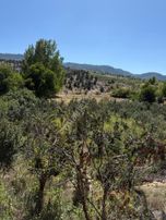  Mersin Toroslar Arslanköy’de Kaçırılmayacak Yatırım Fırsatı