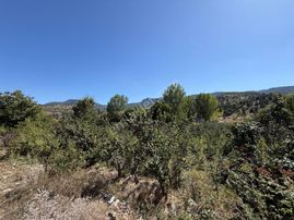  Mersin Toroslar Arslanköy’de Kaçırılmayacak Yatırım Fırsatı