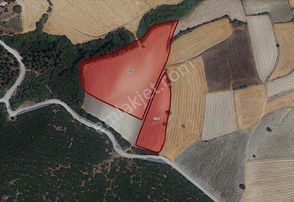 Taha Ergin Gayrimenkulden Orhanlıda Kadastro Yolu Olan Tarla