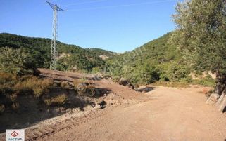 🛑🛑aktif'ten Çamtepe'de 2400 M2 Manzaralı Yolu Olan Bakımı Yapılmış Satılık Tarla 🛑