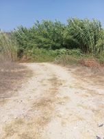 Evrenleryavsi De Satılık Tarla