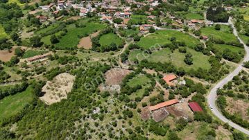 Balnova Dan Balıkesir Balya Çakallarda 1287 M2 Satılık Tarla