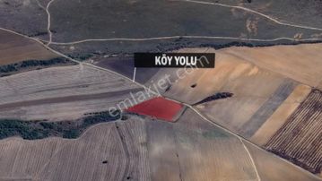 Turyap' Tan Tekirdağ Hayrabolu Temrezli' De Satılık 900 M2 Tarla