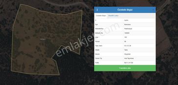 Yaylada Boş Tarla 53.300 M2 Aydın Karacasu