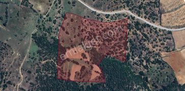 Yaylada Boş Tarla 53.300 M2 Aydın Karacasu