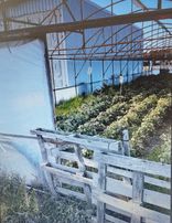 Frang Group'tan - Satılık 279 M2 Köye Yakın Asvalt A Cepheli