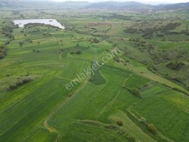 Esa Gayrimenkul'den Ovacık 'da Tarla