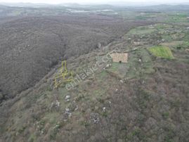 Esa Gayrimenkul'den Yaylabayır' Da Bağ