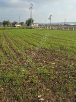 Vize Evrenlide Tepolama Alanı Seçilen Bölge Tek Tapu Tarla