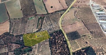 Karacabey Çavuş Mah. 10 Dönüm Satılık Fırsat Arazi