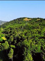 Kırklareli Geçitağzı Köyü'nde 1.276 M2 Villa İmarlı Satılık Arsa