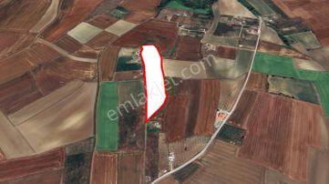 Turyap Hürriyetten M.ereğlisi Yeniçiflik 15.900 M2 Satılık Tarla