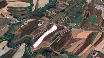 Turyap Hürriyetten Çorlu Şahpazda 16.900 M2 Satılık Tarla