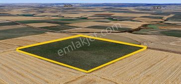 Turyaptan Muratlı Yukarısevindikli De 42.600 M2 Satılık Tarla