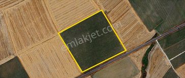 Turyaptan Muratlı Yukarısevindikli De 42.600 M2 Satılık Tarla