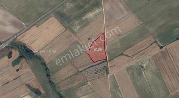 Turyap Hürriyetten Ergene Ulaş'da 10 Dönüm Satılık Tarla