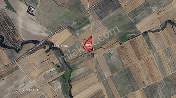 Turyap Hürriyetten Ergene Ulaş'da 10 Dönüm Satılık Tarla