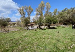 Fırsattt Meram Saglık Ta 2281 Mt Tek Tapu Yolu Olan Tarla