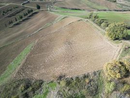 Blue Yatırım'dan Çukurköy'de Resmi Yollu Deniz Manzaralı Tarla