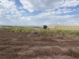 Kiralık Kundu'da 19700 M2 Arazi