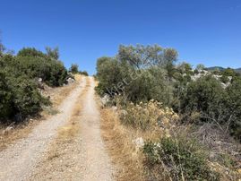 Satılık Tek Tapu Tarla