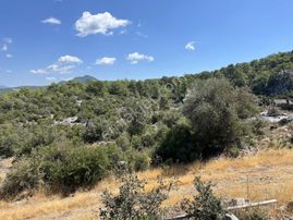 Satılık Tek Tapu Tarla