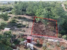 Seyrantepe'de 608m² Çam Ağaçlarının İçinde Müstakil Arsa (elektrik Ve Su Mevcut)