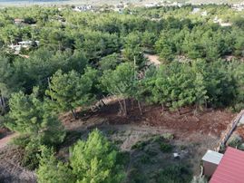 Seyrantepe'de 608m² Çam Ağaçlarının İçinde Müstakil Arsa (elektrik Ve Su Mevcut)