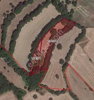 Savaştepe Yol Üzerinde Yatırımlık 2 Adet Bitişik Tarla