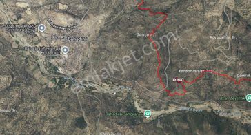 Burhaniye Fırsat Zeytinlik