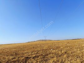 Konya Çumra Alibeyhüyüğü Satılık Tarım Ve Ges Arazisi