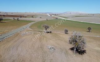 Satılık Sulu Tarla Konya Meram Karadiğin Deresi Pınarın Yakını