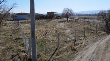 Konya Meram Çayırbağı Suyu Elektriği Olan Satılık Bahçe Tarla