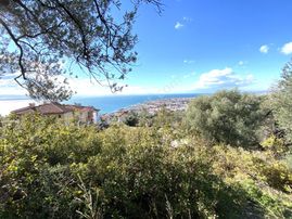 🌀gültaş Emlaktan Satılık Altınolukta Full Deniz Manzaralı Zeytinlik