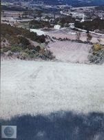 Frank Group | Karacabey - 3.850 M² Satılık Tarla Yatırım Fırsatı