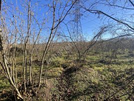 E.g.a Gayrimenkul Uzunisa 5.5 Dönüm Düz Bahçe !!!