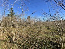 E.g.a Gayrimenkul Uzunisa 5.5 Dönüm Düz Bahçe !!!