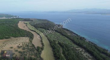 Bogazı Ve Çanakkale Yi İzleyebileceginiz 42 Dönüm Arazi