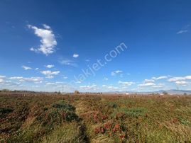 Tc Emlaktan Satılık 10.500 M2 Fırsat Tarla 6 Lıksu !