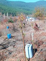 İzmir Bayındır Alankıyıda Muhteşem Konumda İmarlı Satılık Bahçe