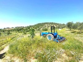 💦 Aktif'ten Burhaniye Kırtıkta Doğa Ve Deniz Manzaralı 40800m2 Satılık Zeytinlik 💦💦