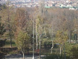 Türkiş Bloklarında Kiralık Daire Gizem Emlaktan