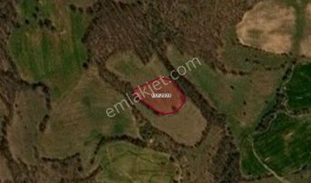 Kofçaz Ahmetler Köyünde Satılık Yatırımlık Araziler