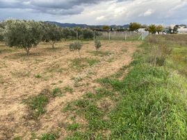 Filibe Gayrimenkulden Merkezin Dibi 910 M2 Tapulu Bahçe Fırsatı