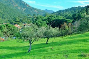 Uytun'dan Havran Köylücede %40 İmarlı 1052 M2 Uygun Fiyatlı Arsa