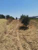Satılık Tarla