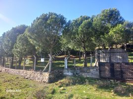 Görgülü*gayrimenkulden*ayvalık*cakmakta*satılık*bag*bahce*satılık**